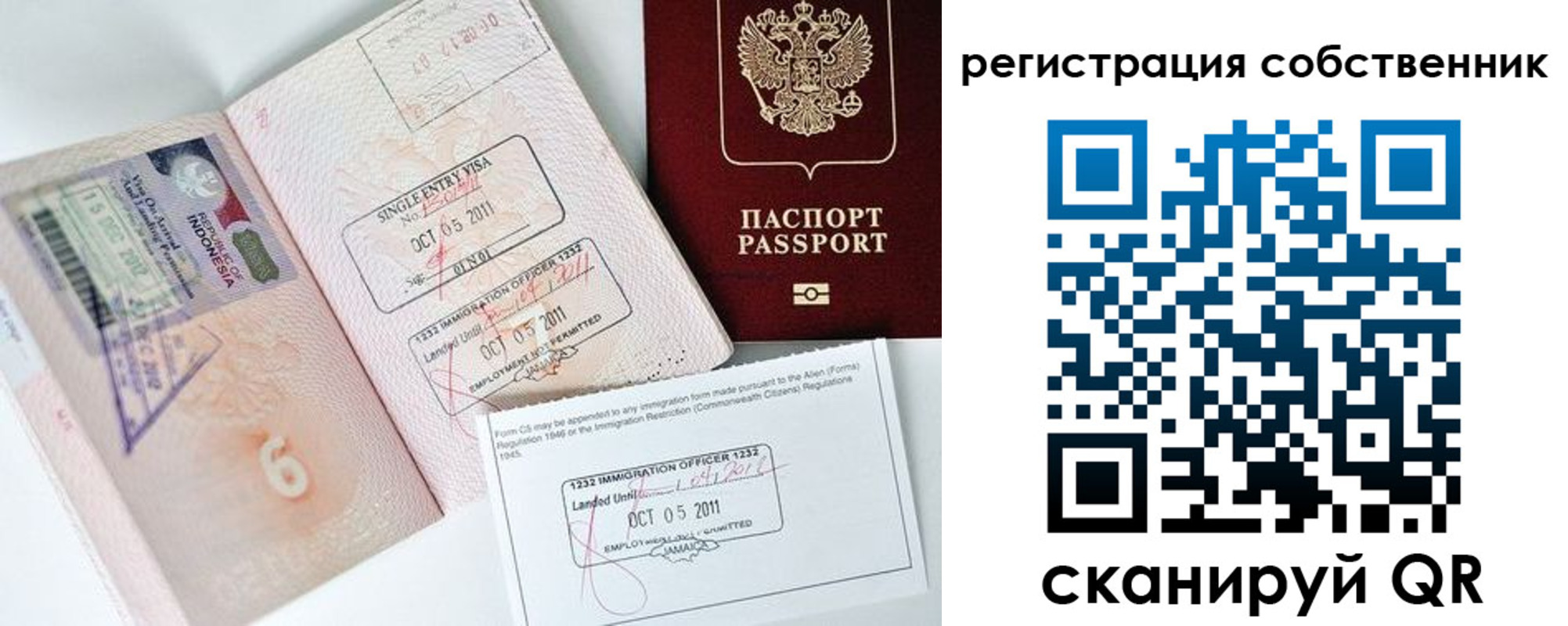 прописка поиск в Димитровграде
